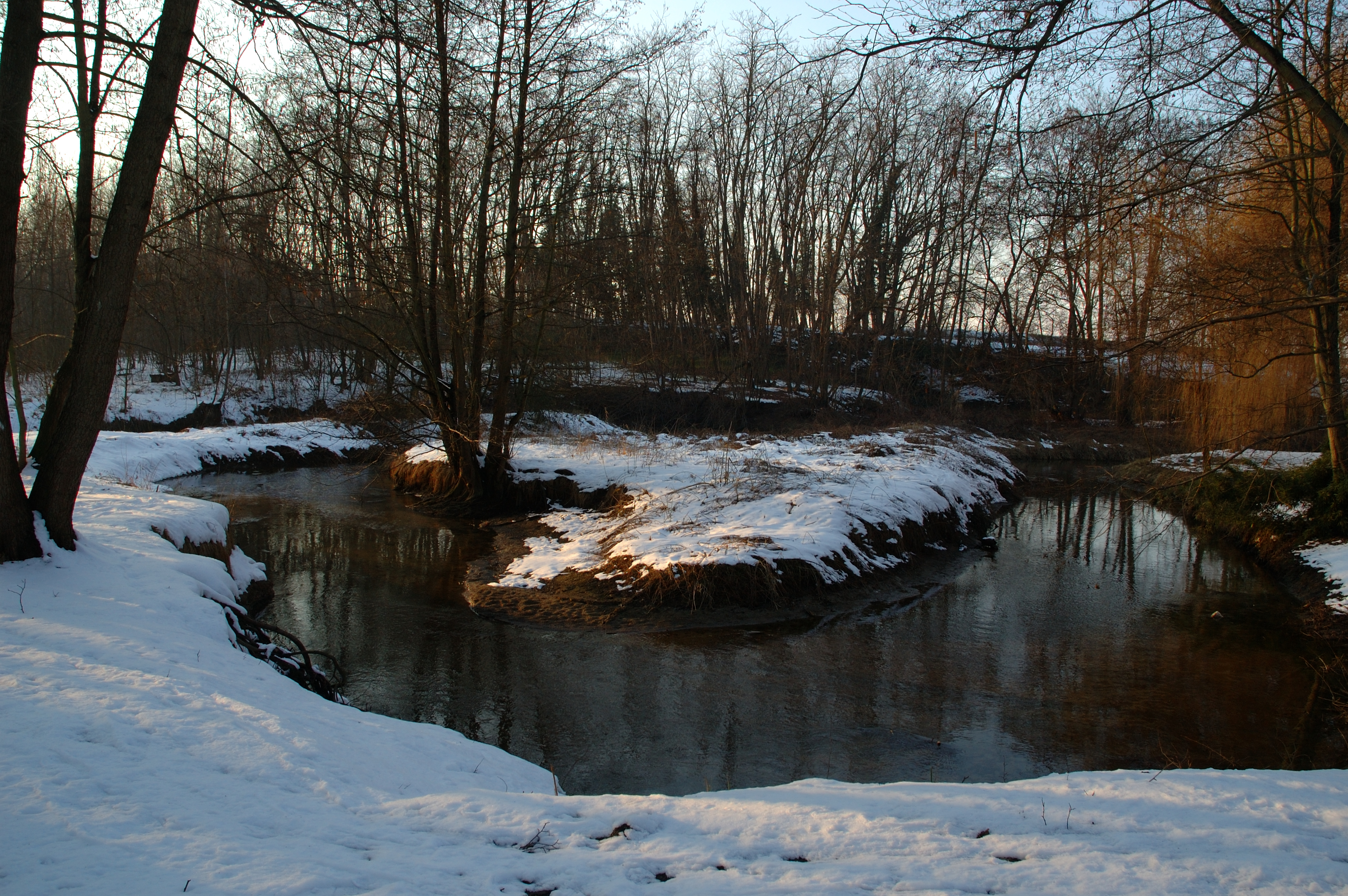 Il Parco della Vernavola